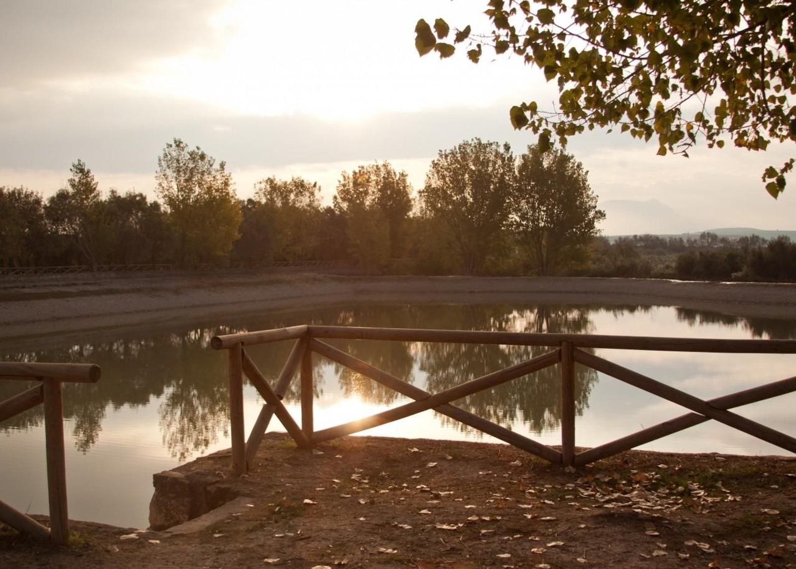 Un refugio para la flora y fauna: descubre los parajes acuáticos de Jaén en el Día Mundial de los Humedales