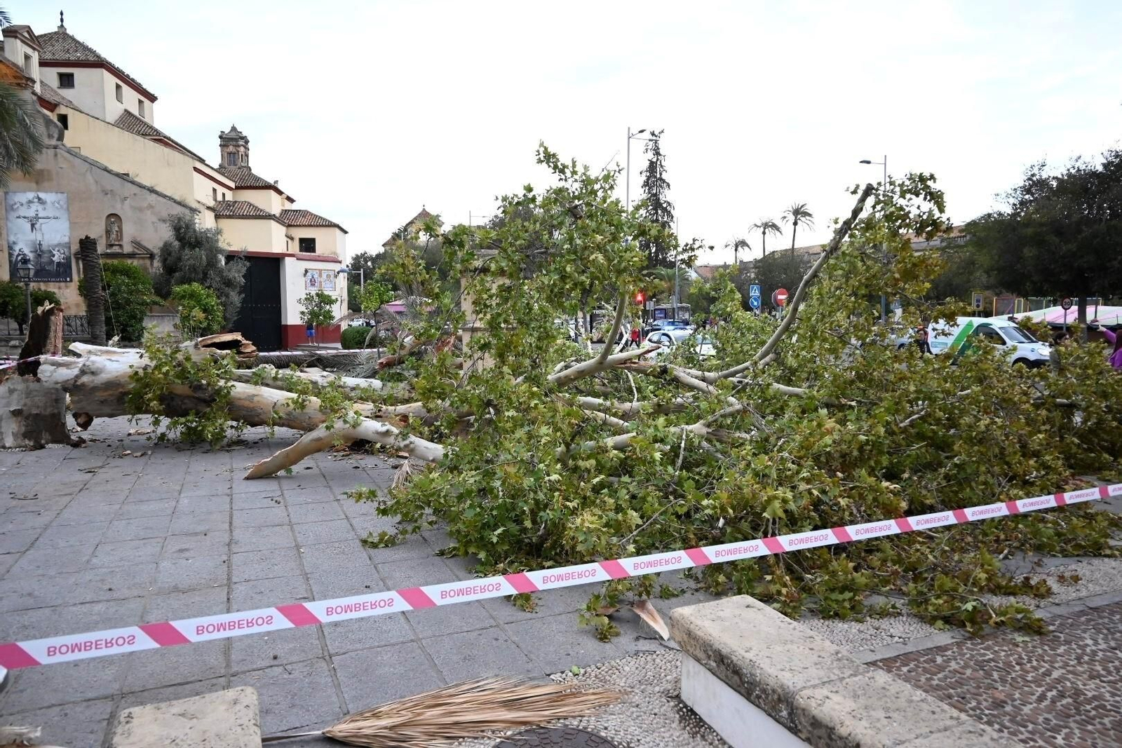 Los daños causados por la borrasca Bernard en Córdoba, en imágenes