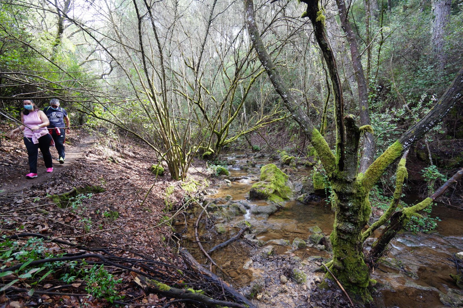 Una ruta por los Baños de Popea en Córdoba, en fotografías