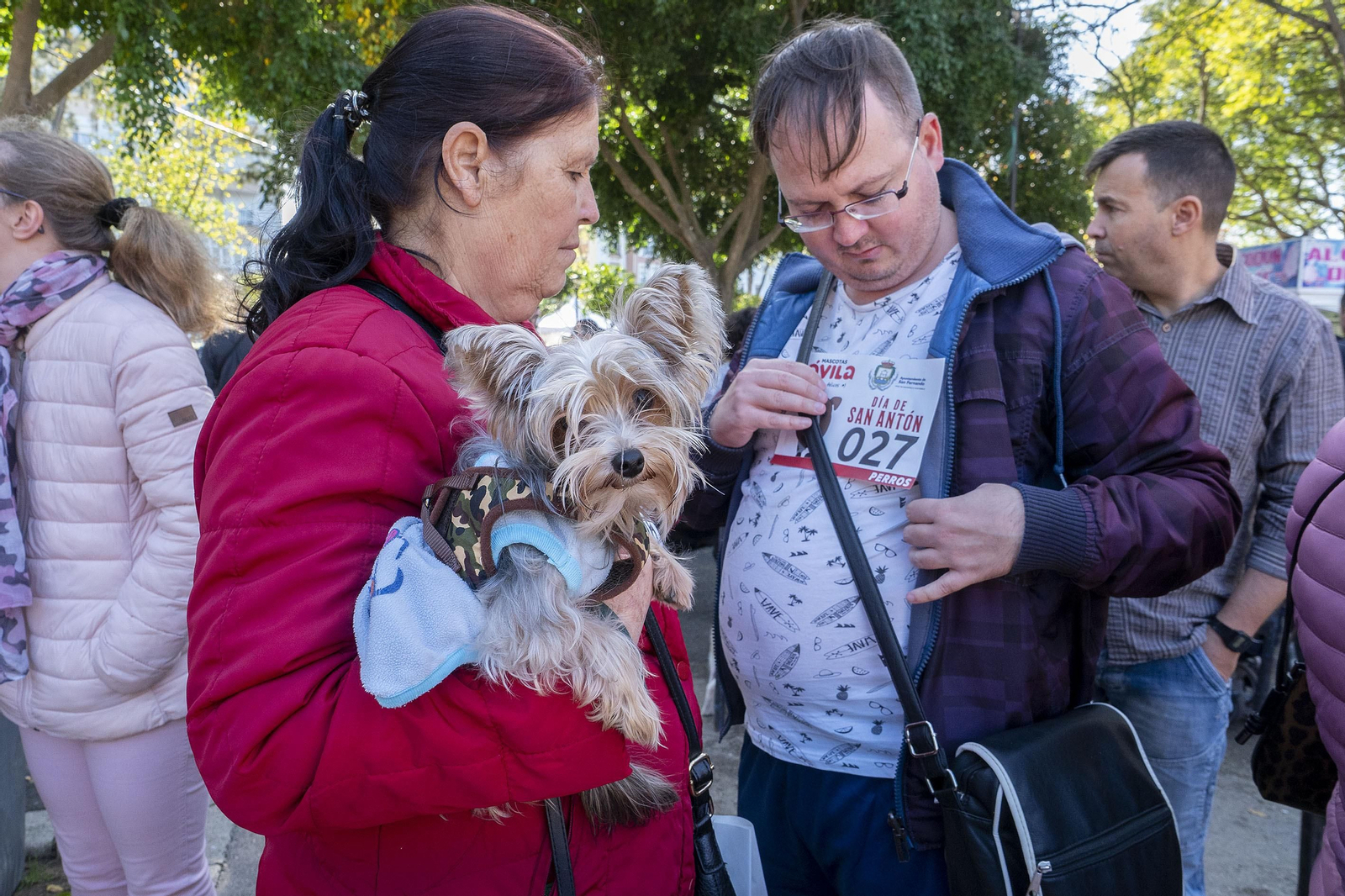 Las imágenes de la fiesta de San Antón en San Fernando