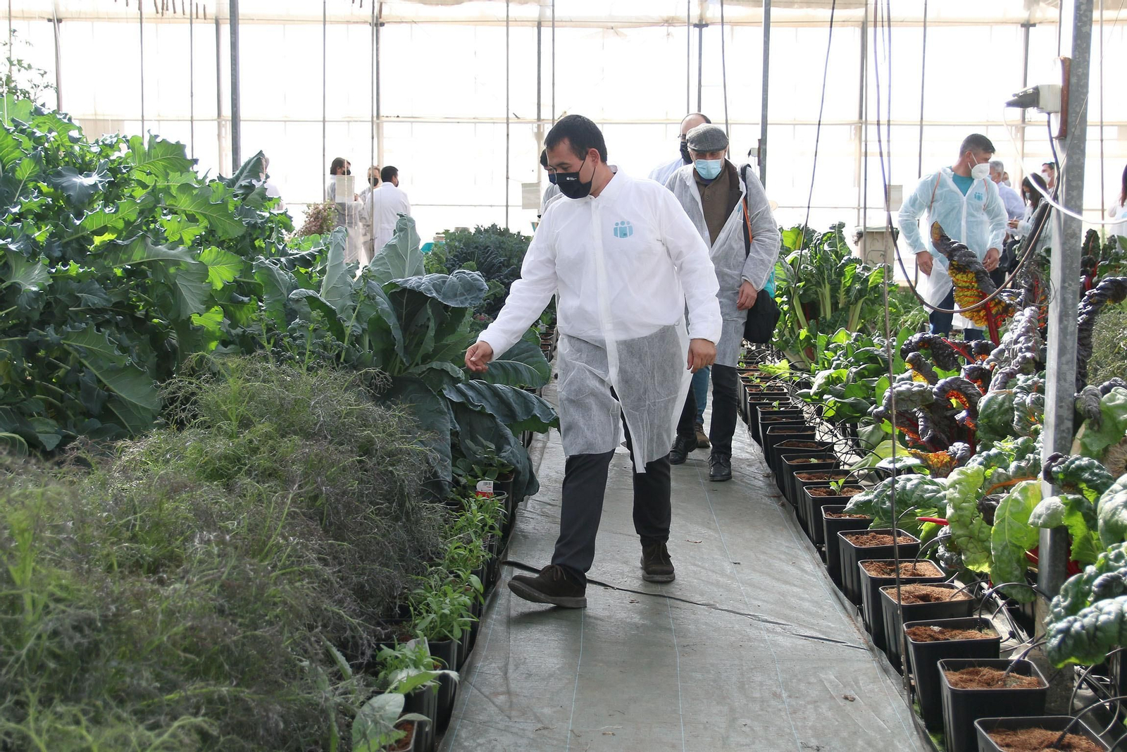 Fotogalería de la presentación de Plataforma Tierra, de Cajamar e IBM