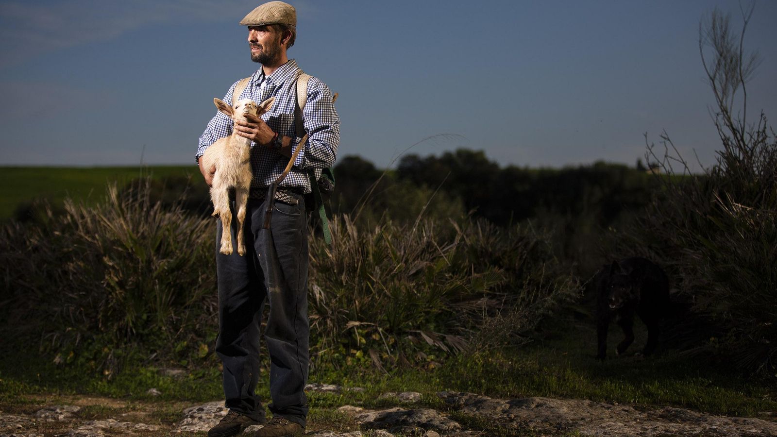 Blanquita, una chiva que ha quedado huérfana, en brazos del pastor.