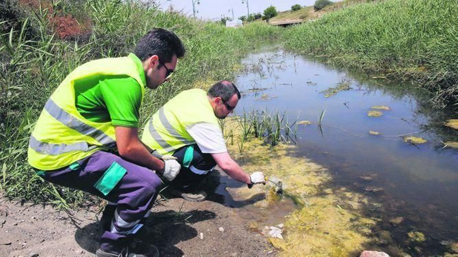 Dos técnicos toman muestras.
