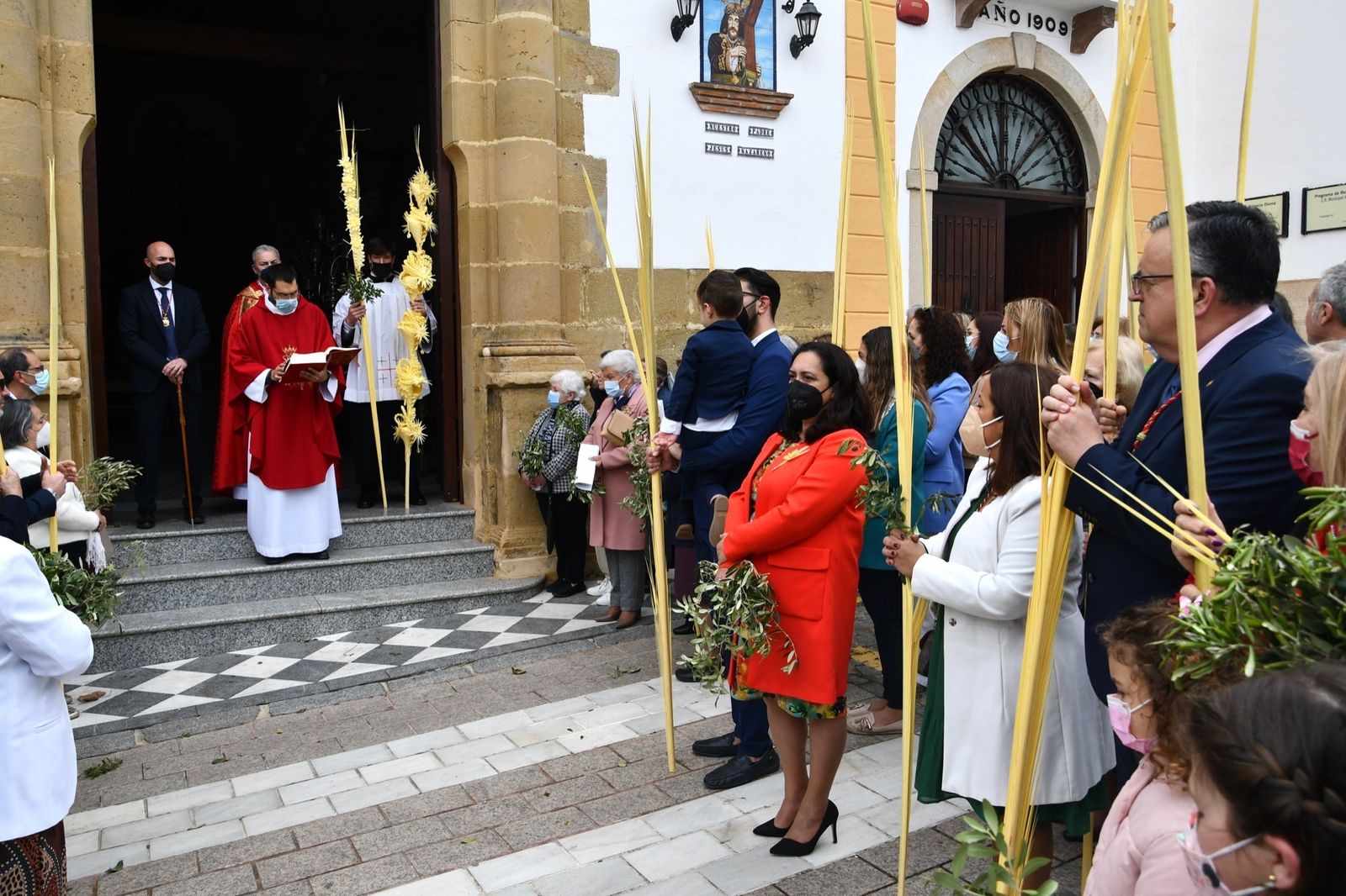 Las fotos del domingo de palmas y olivos en San Roque
