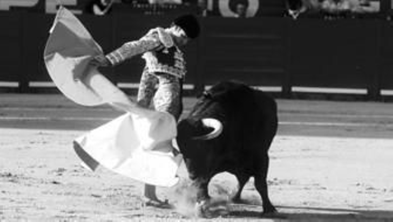 Los lances de José Tomás con el capote a la espalda, ligados, ceñidos y sin enmendarse, enloquecieron a la plaza de Jerez.