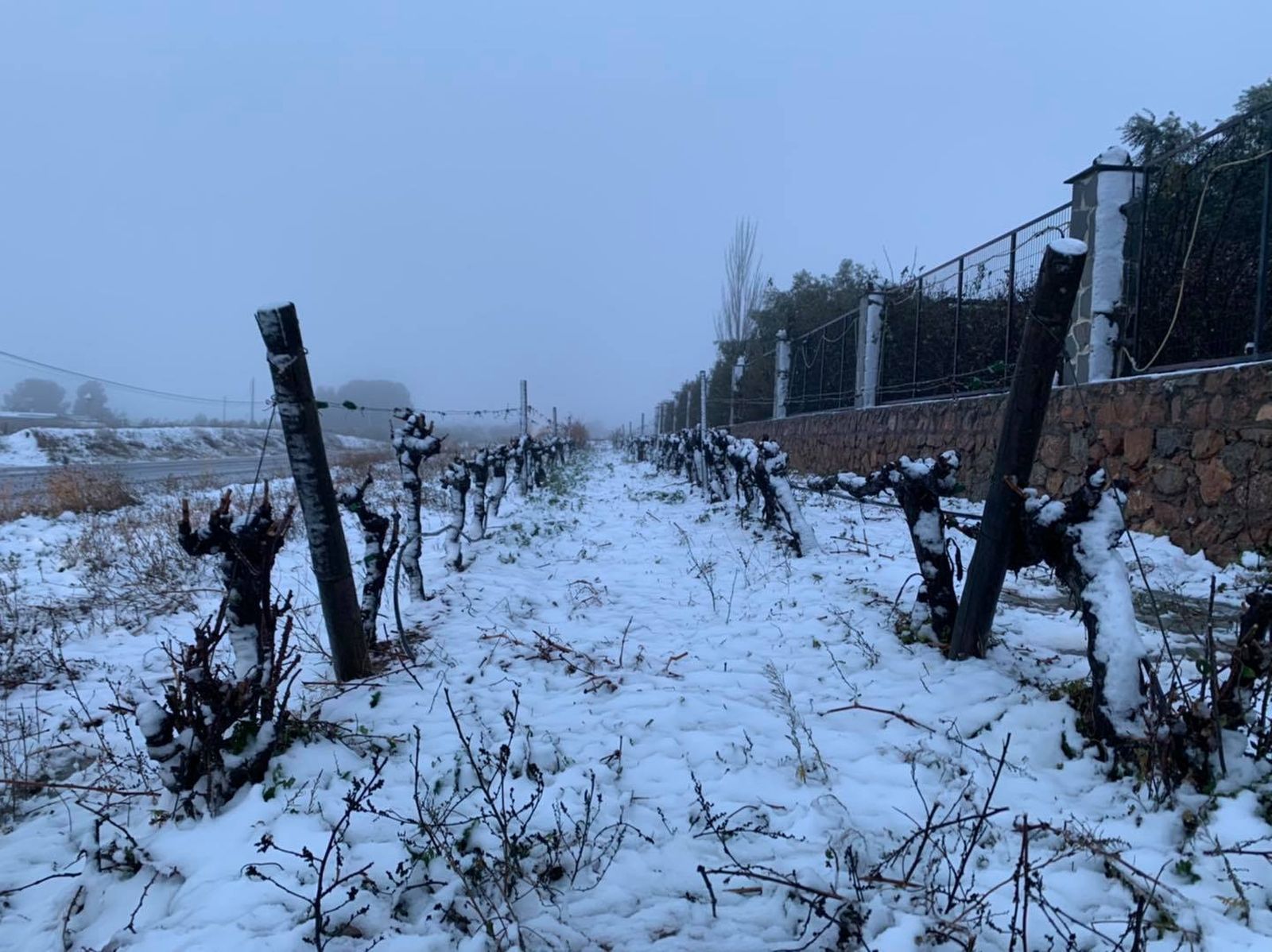 Primera gran nevada en Almería