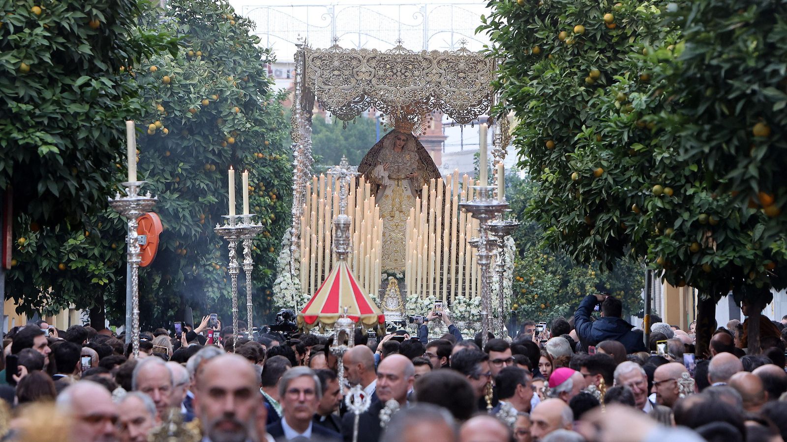 Los naranjos de la calle Castilla flanquean el soberbio paso de la Virgen del Patrocinio.