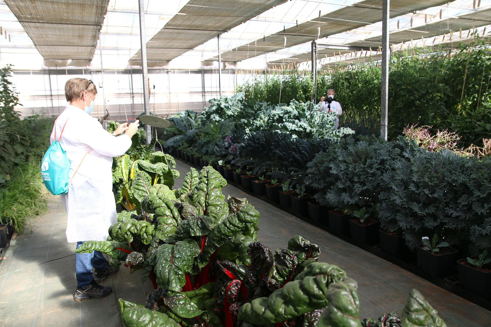 Fotogalería de la presentación de Plataforma Tierra, de Cajamar e IBM