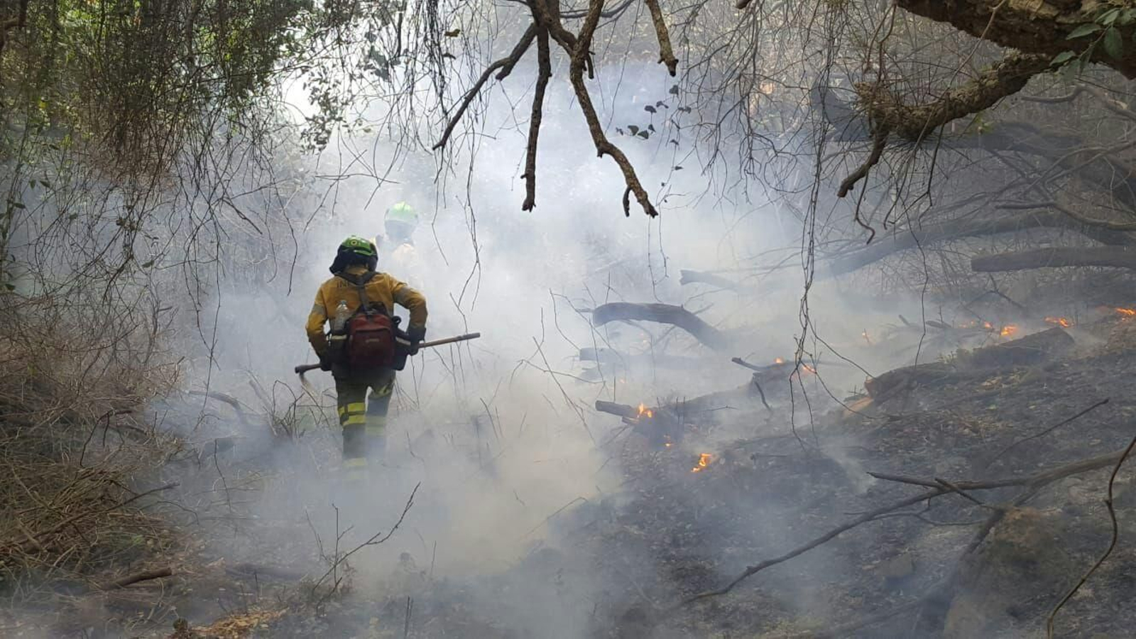 Bomberos del Infoca luchando contra un incendio en una foto de archivo.