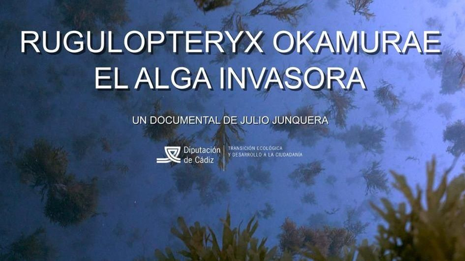 Carátula del documental del alga invasora