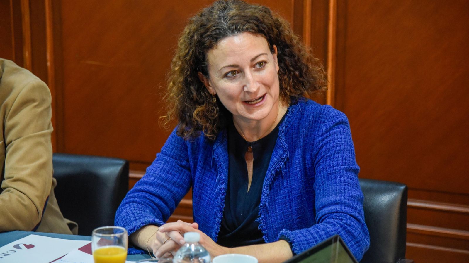 Nieves Romero, gerente del Hospital Universitario Virgen del Rocío de Sevilla.