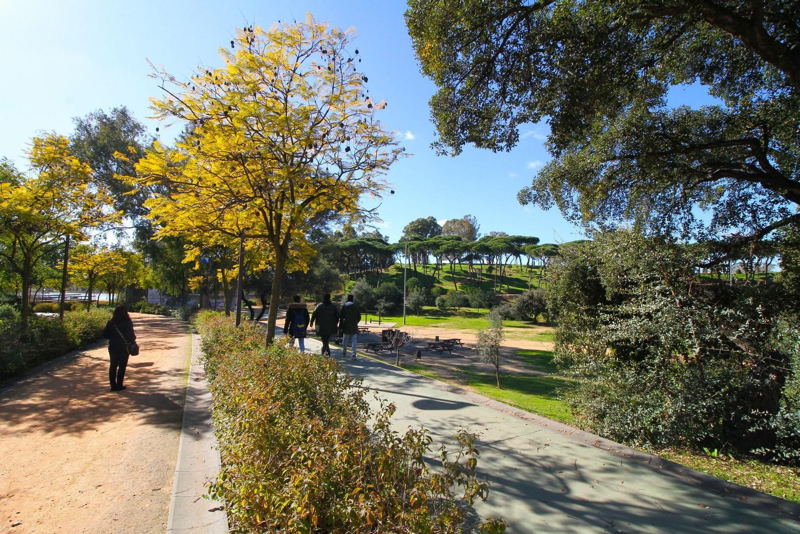 Así es el pulmón verde de Huelva, el parque urbano más grande de Andalucía