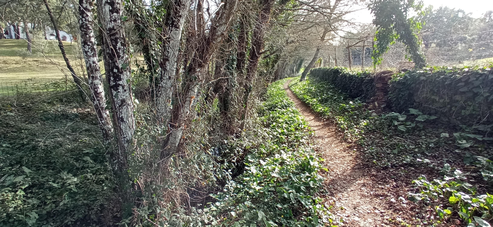 Las imágenes de la ruta de la Dehesa de Valdelama: De Los Marines a Fuenteheridos y vuelta