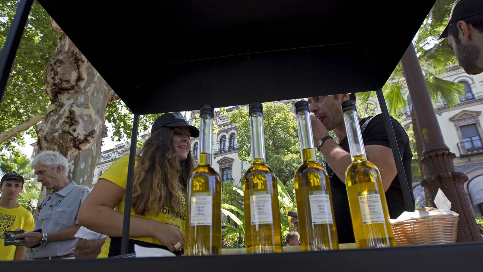 Cata de aceite de oliva, el producto más comercializado en Canadá.