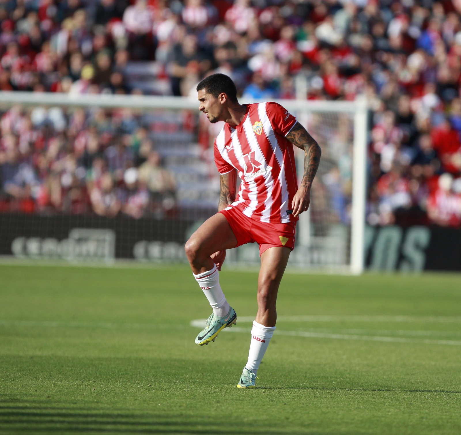 Fotogalería del partido de la Liga Santander, U.D. Almería-Valencia