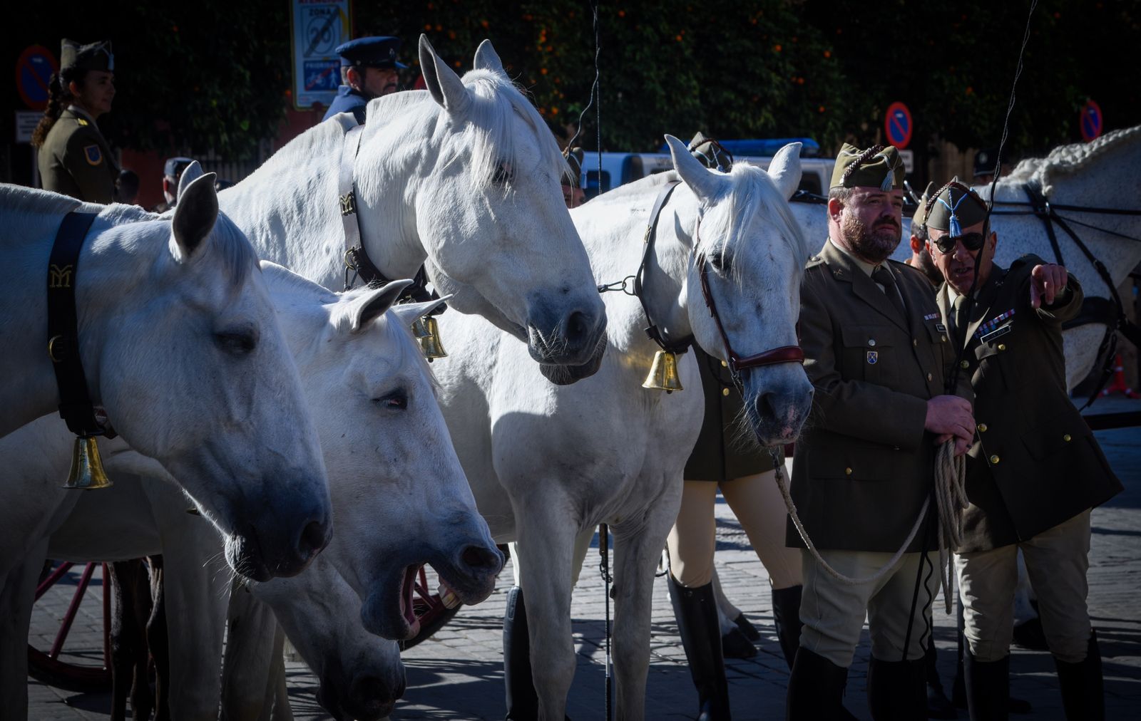 Caballería y guías caninos de la Policía Nacional celebran el patrón de los animales