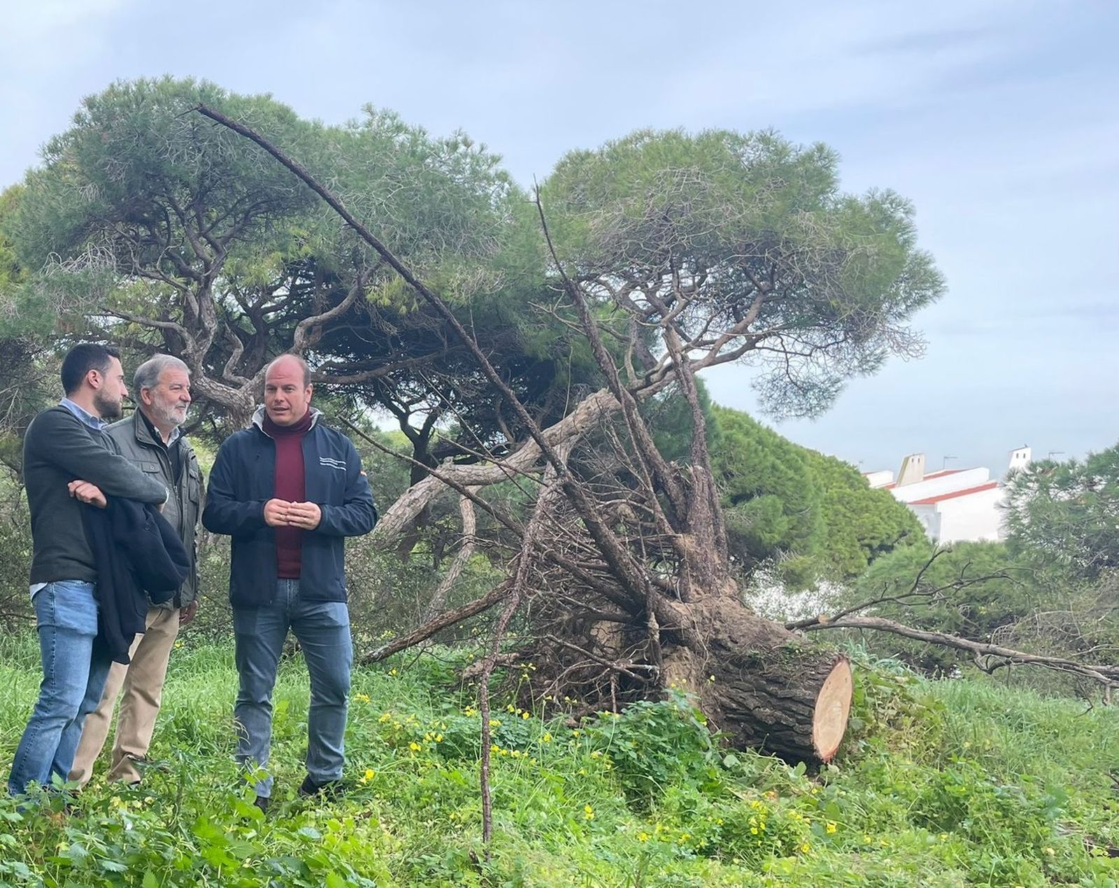 El delegado territorial, Óscar Curtido, visita las zonas más afectadas de los Pinares de Rota.