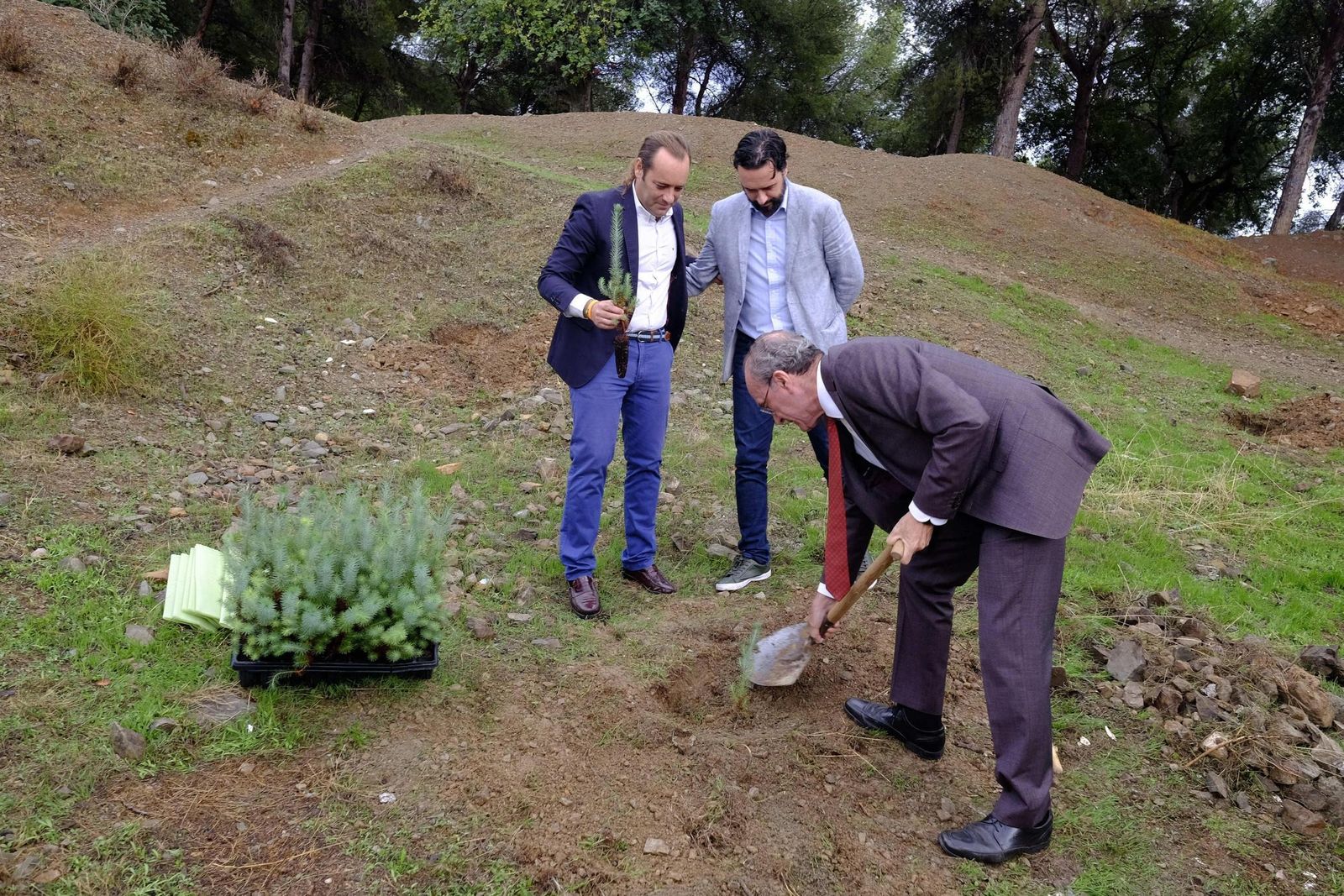 Plantación de nuevos árboles en Camino de los Almendrales, el pasado otoño. Un ensayo para cuando lleguemos al Mar de la Tranquilidad.