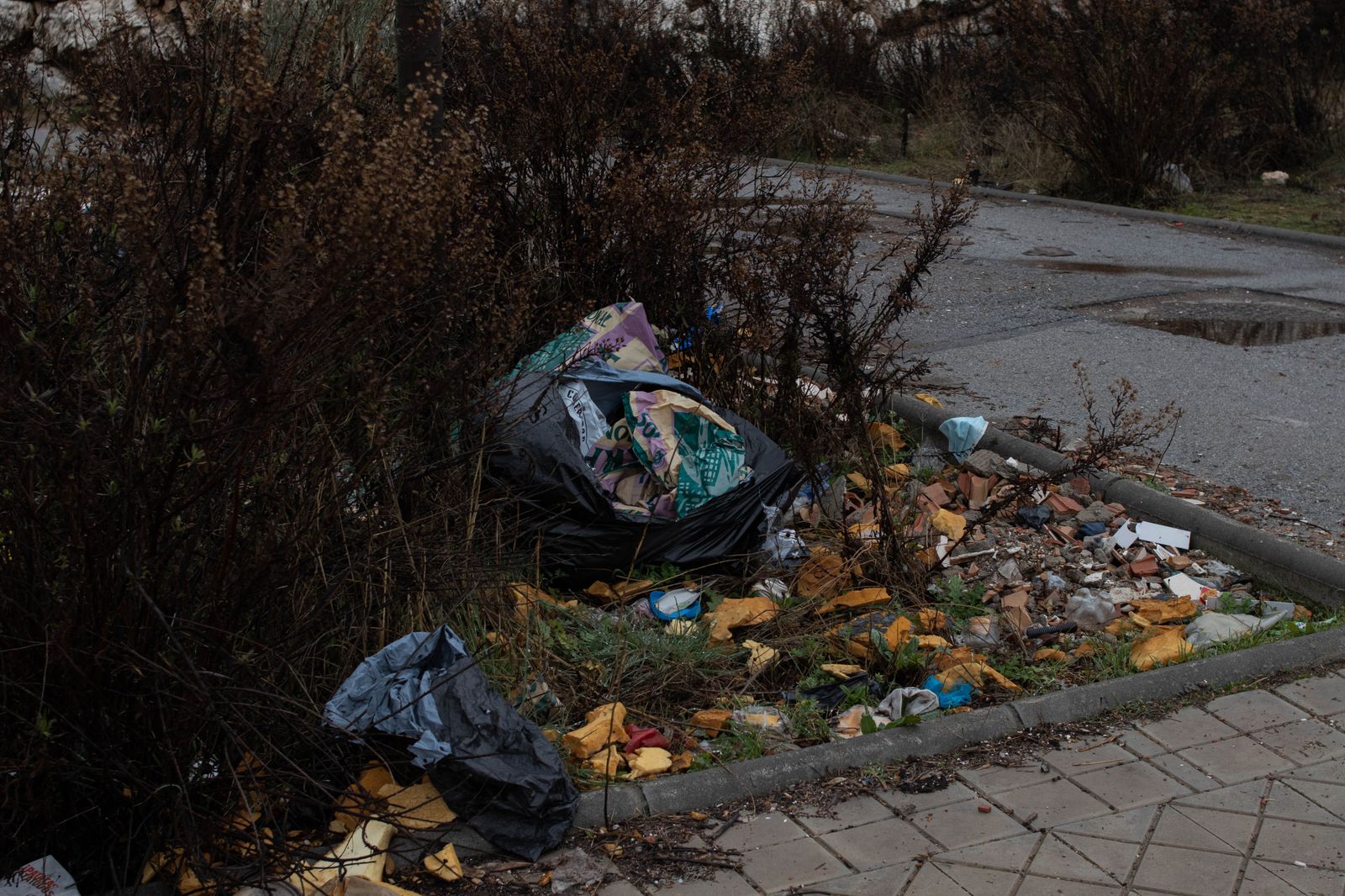 Caos y basura, el bucle en la Zona Norte
