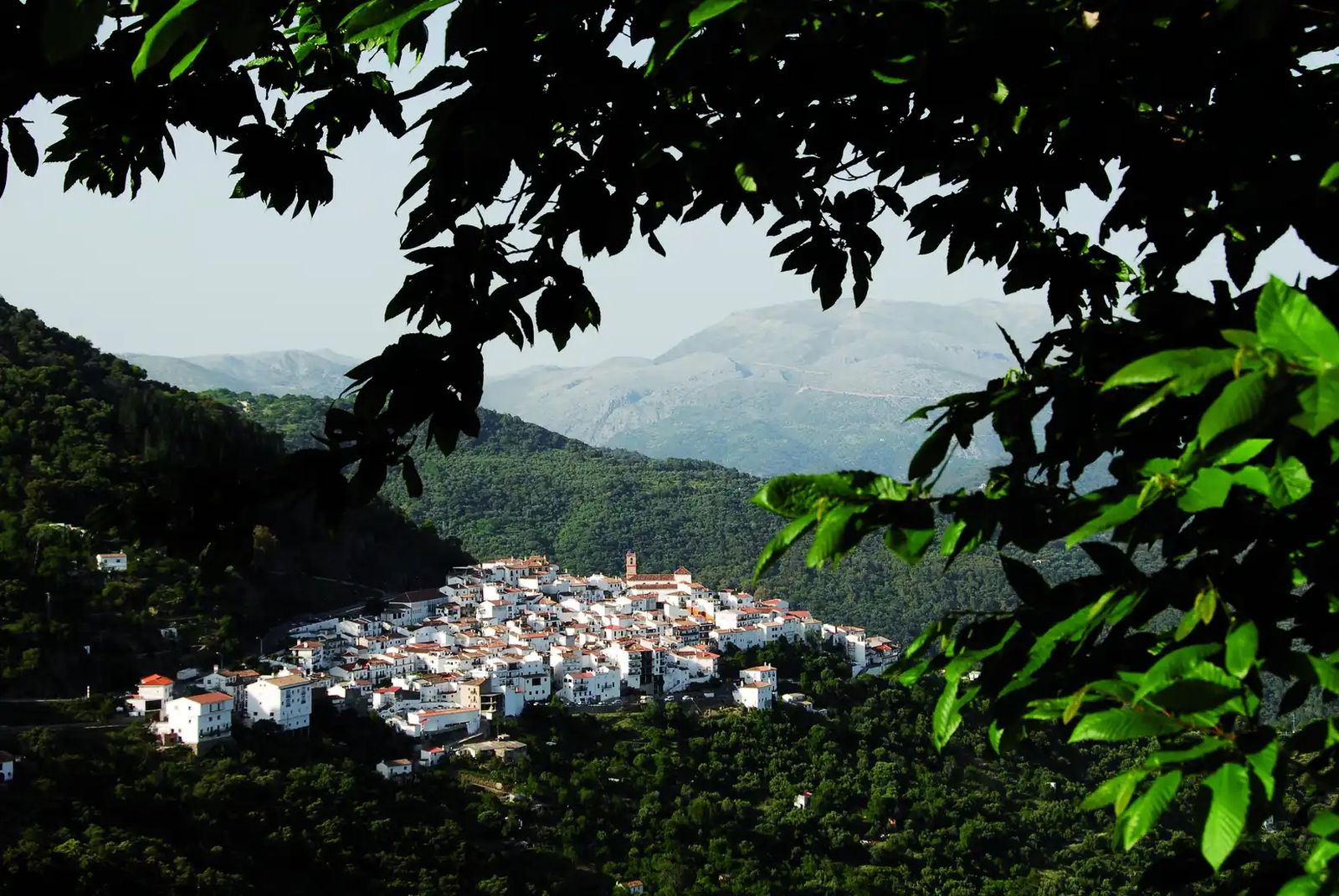 Una vista de Algatocín.