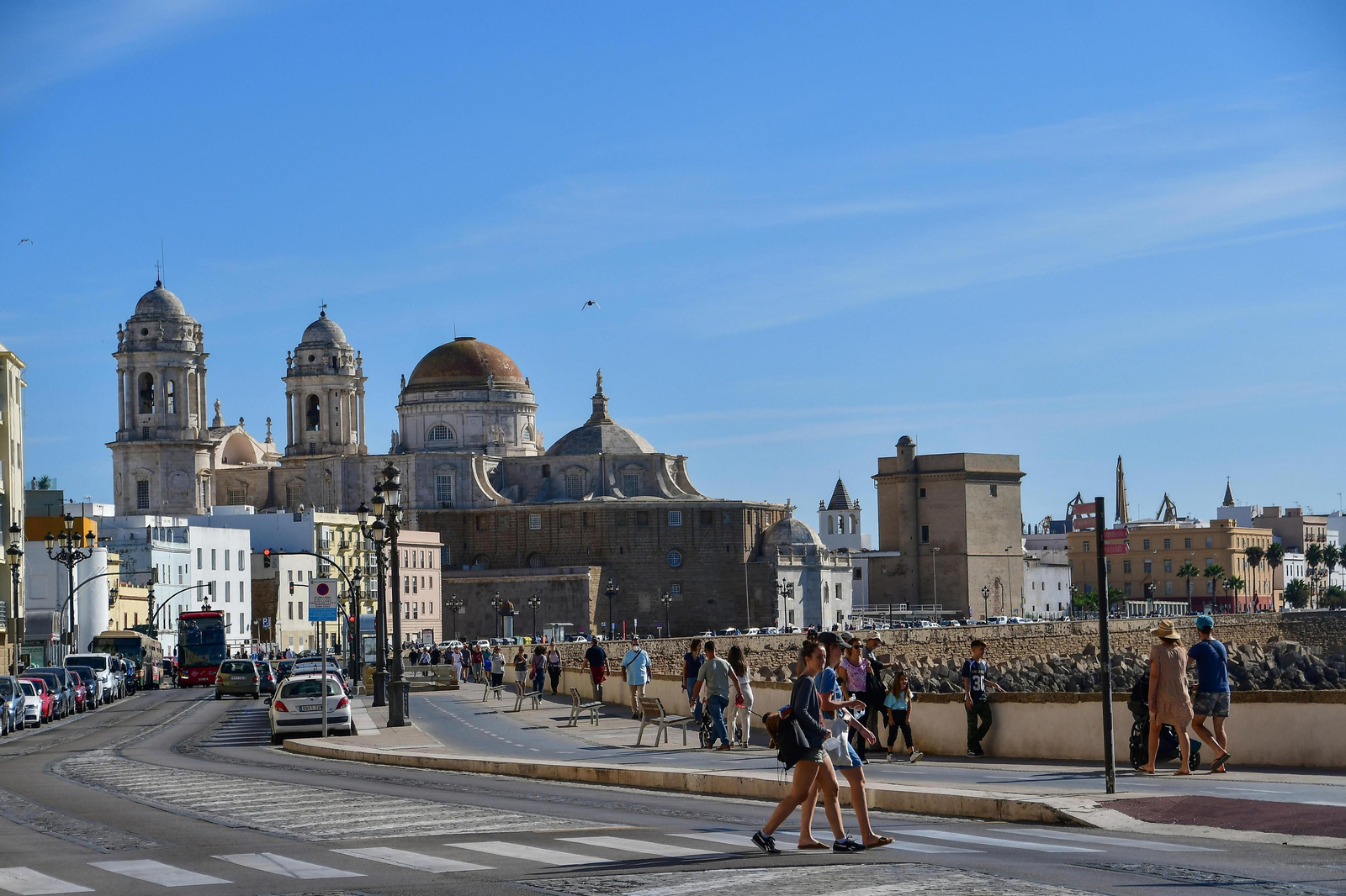 La Catedral de Cádiz en el Campo del Sur