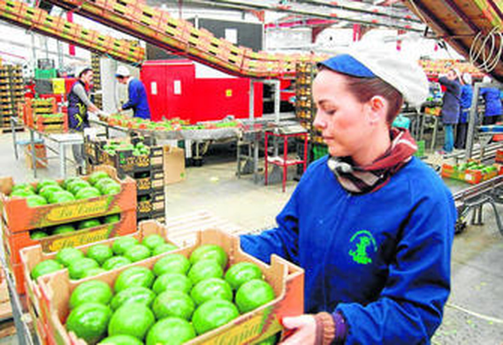 Europa es el continente que mayor demanda genera a lo largo del año.