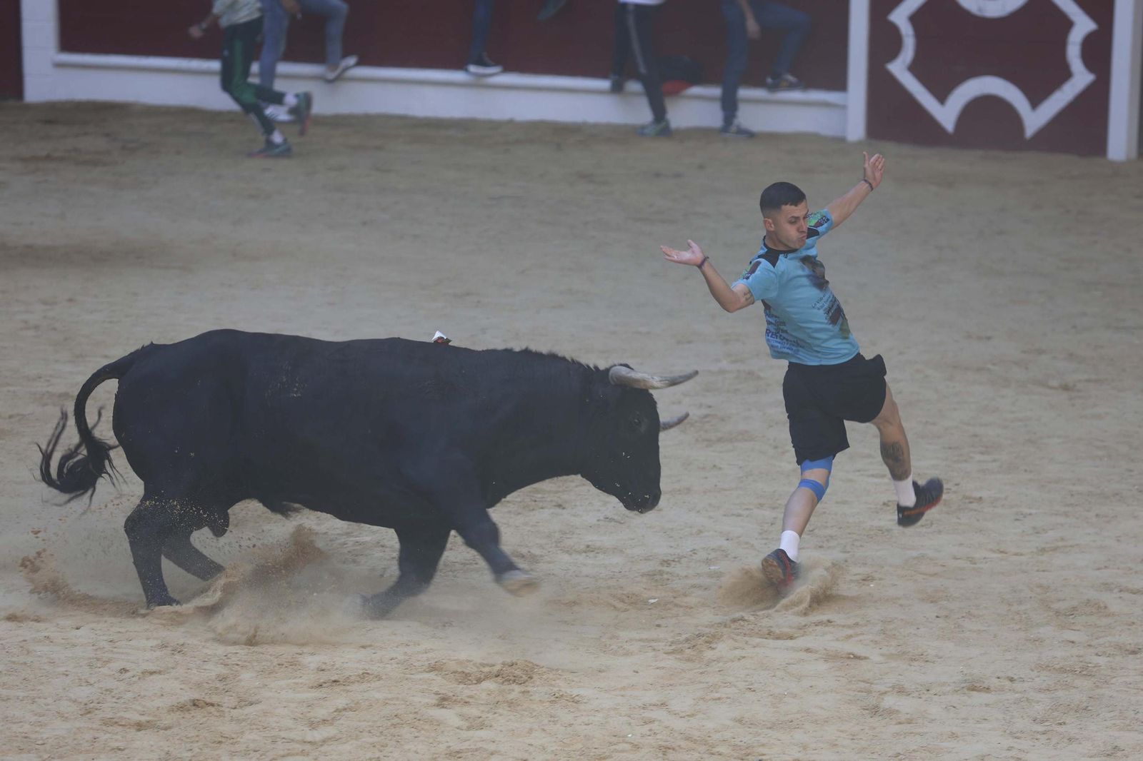 Fotos de los encierros del sábado del Toro Embolao en Los Barrios