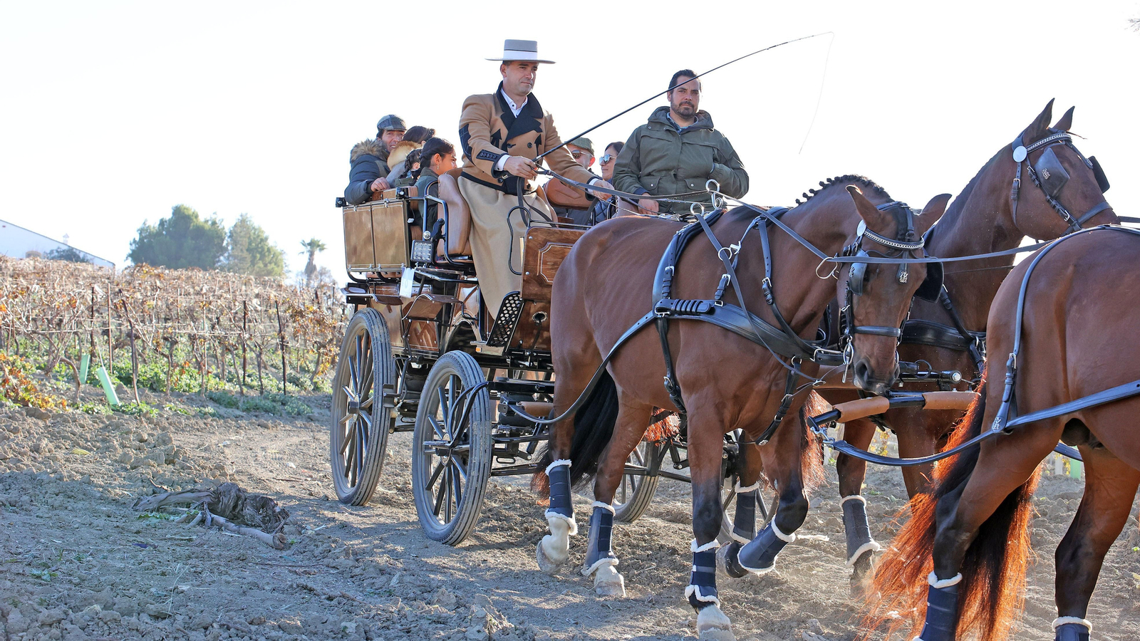 II Ruta Viñas de Jerez