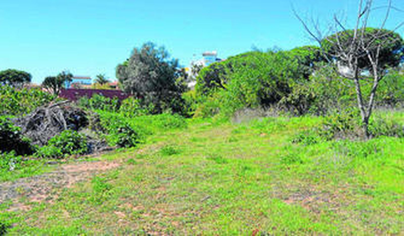 La finca de F. Prieto, valorada en 1,3 millones fue subastada por 34.000 euros.