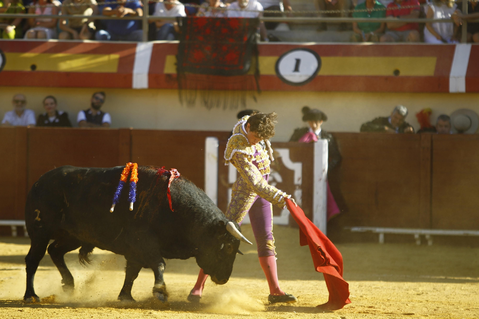 Imágenes de la corrida de Toros en Vera