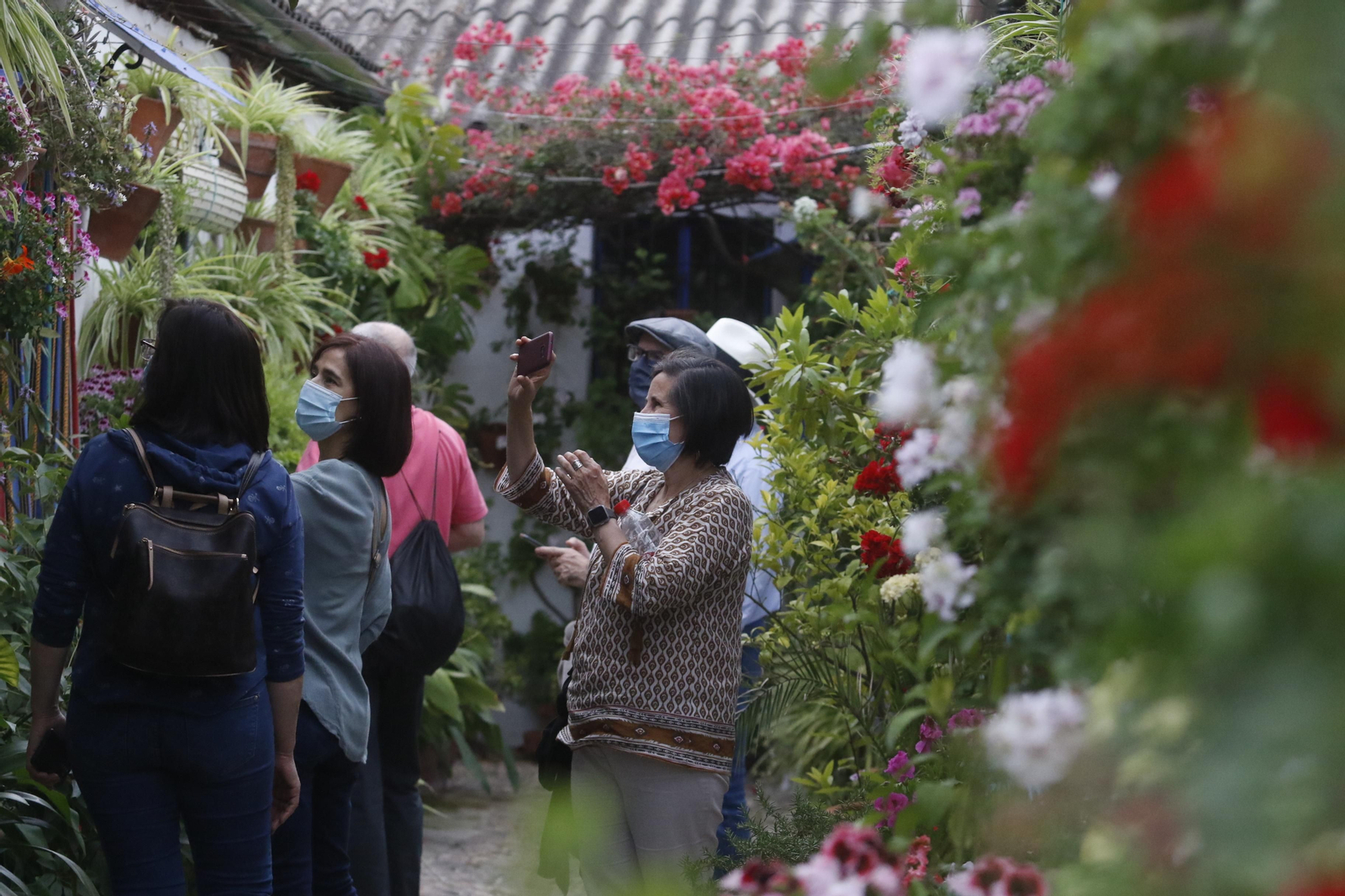 Visitantes en Marroquíes, 6.