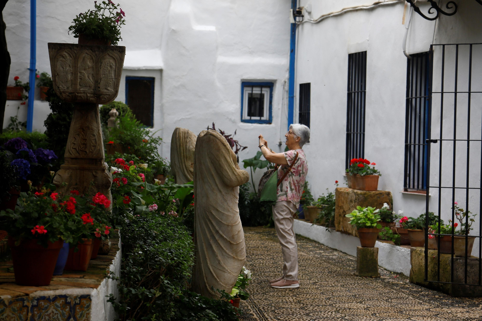 Los patios de Córdoba de la ruta Judería-San Francisco, en imágenes