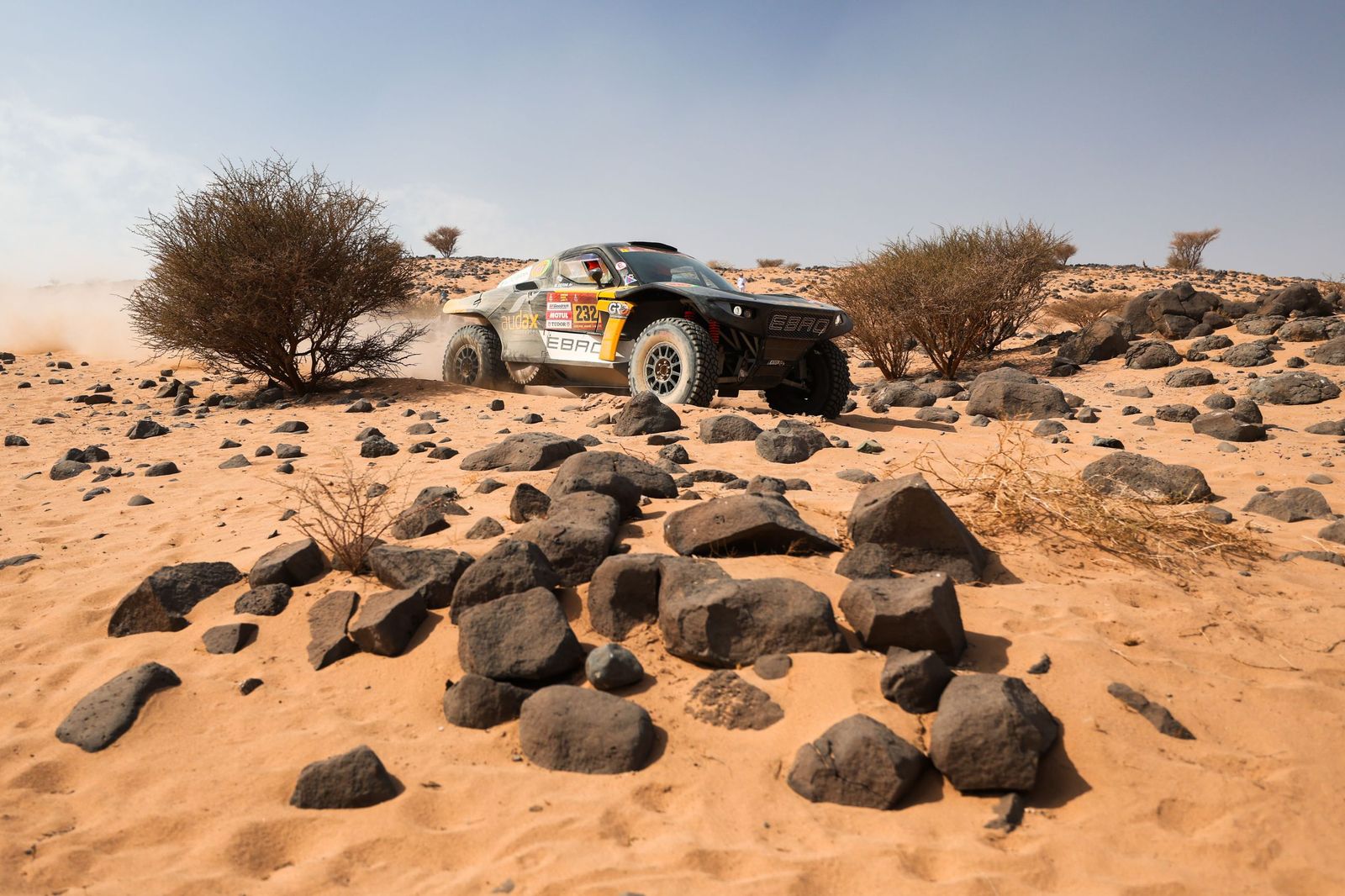 Las mejores fotos del Rally Dakar | undécima etapa