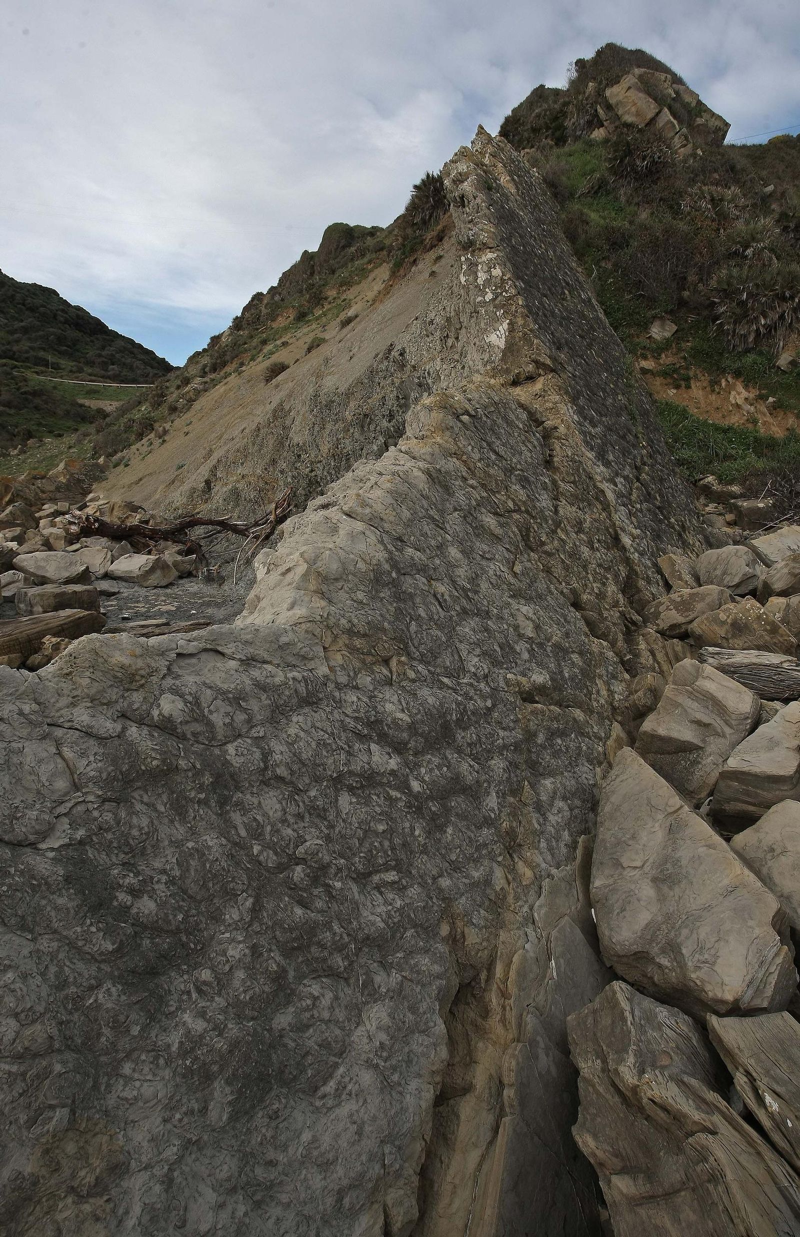 Flysh del Campo de Gibraltar, en imágenes