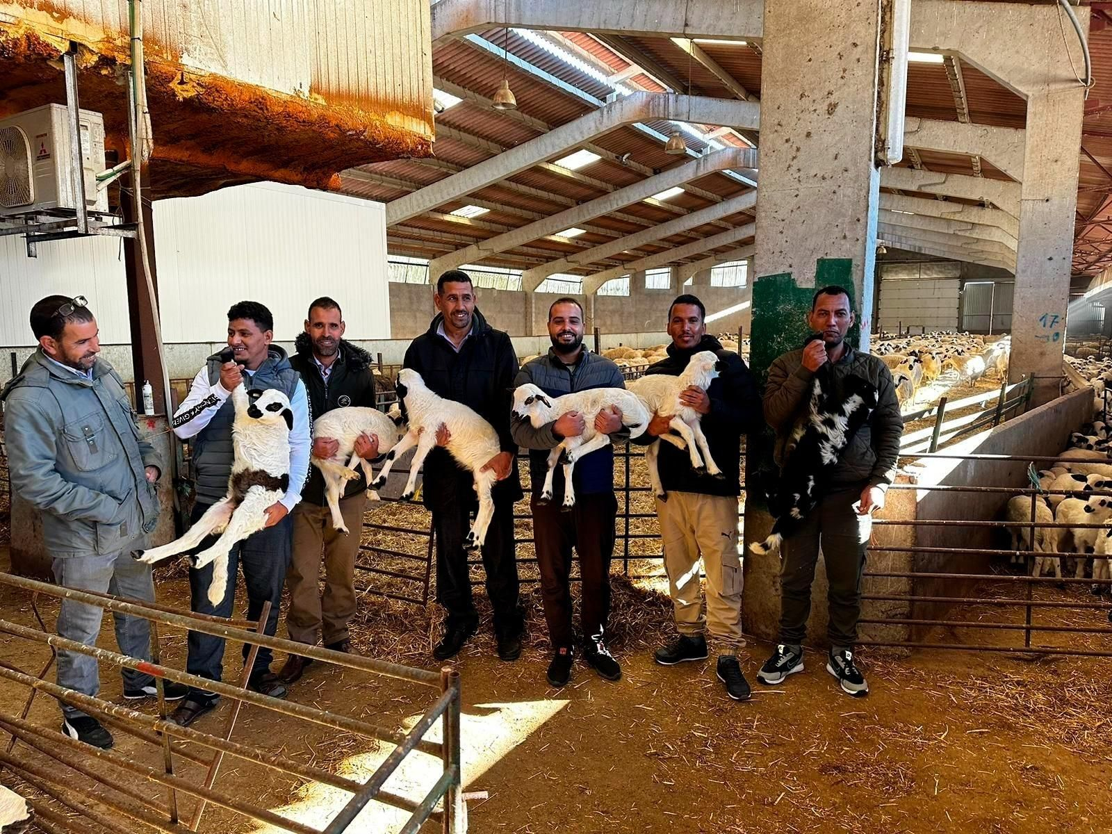 Los siete saharauis en formación para ser pastores.