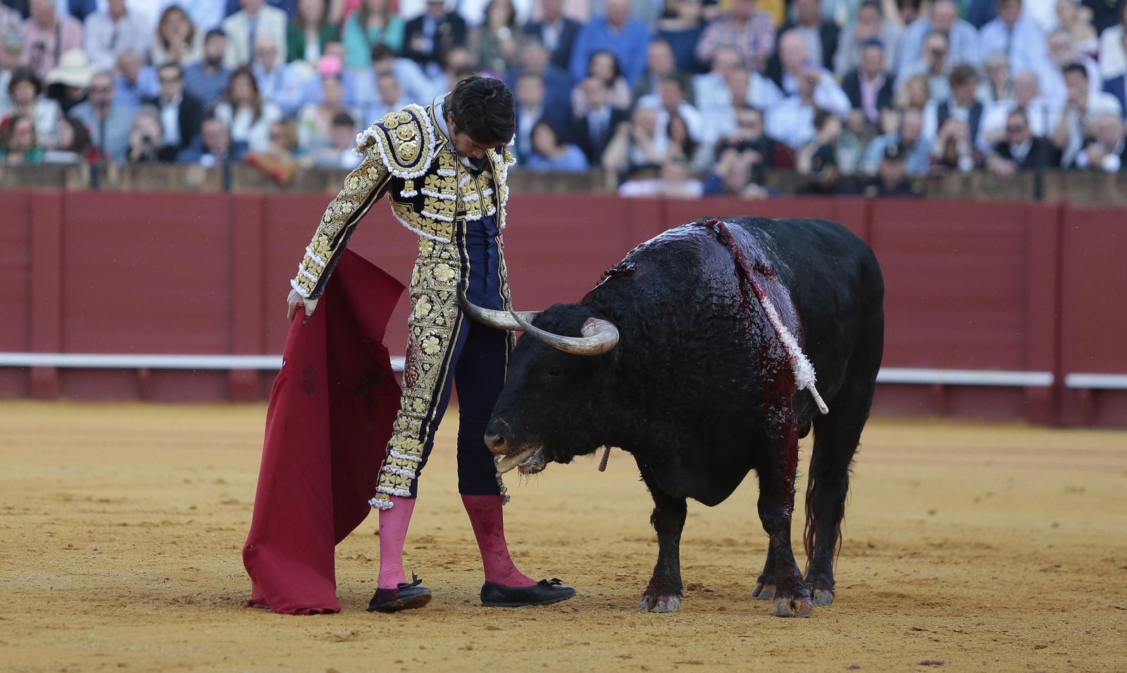La novena de abono en la Real Maestranza de Sevilla