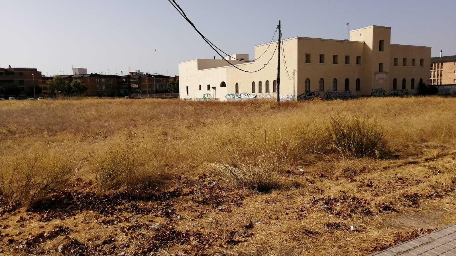 Pastos y cables de alta tensión en la zona