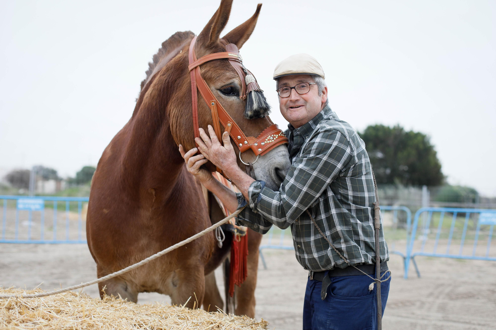 Galería de la Feria  de ganado en Tarambana