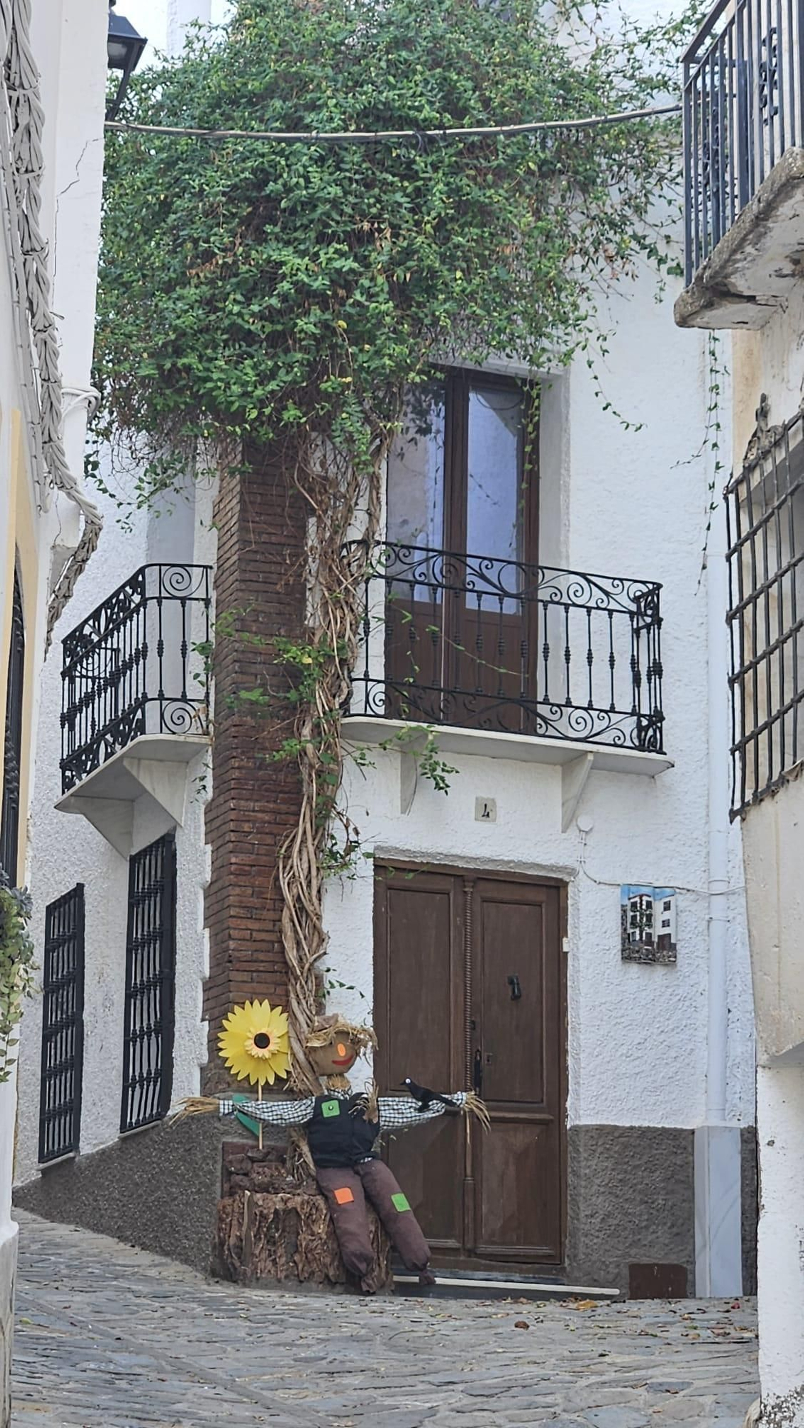 Los 40 vecinos de paja, trapo y cartón de Bacares, en fotos