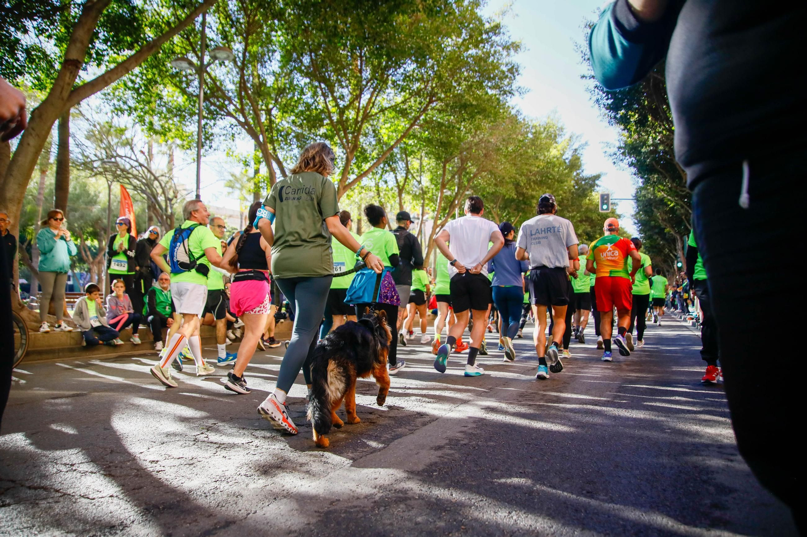 Imágenes de la Carrera contra el Cáncer de Almería