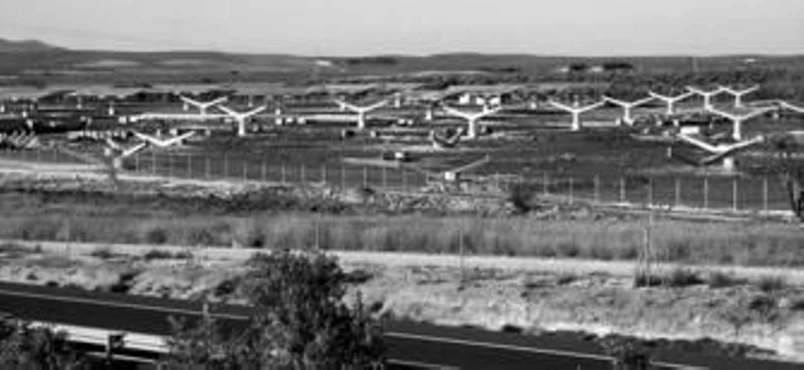 Los placas solares están transformando el paisaje de la comarca de Antequera. Los placas solares están transformando el paisaje de la comarca de Antequera.