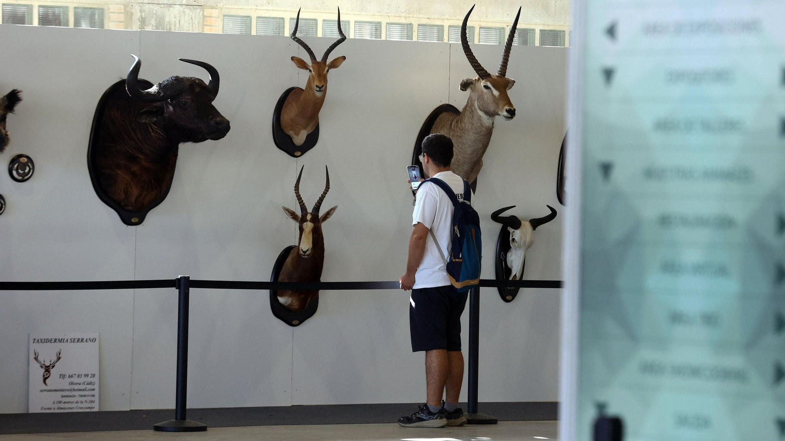Imágenes de la inauguración de Ecocaza en Jerez