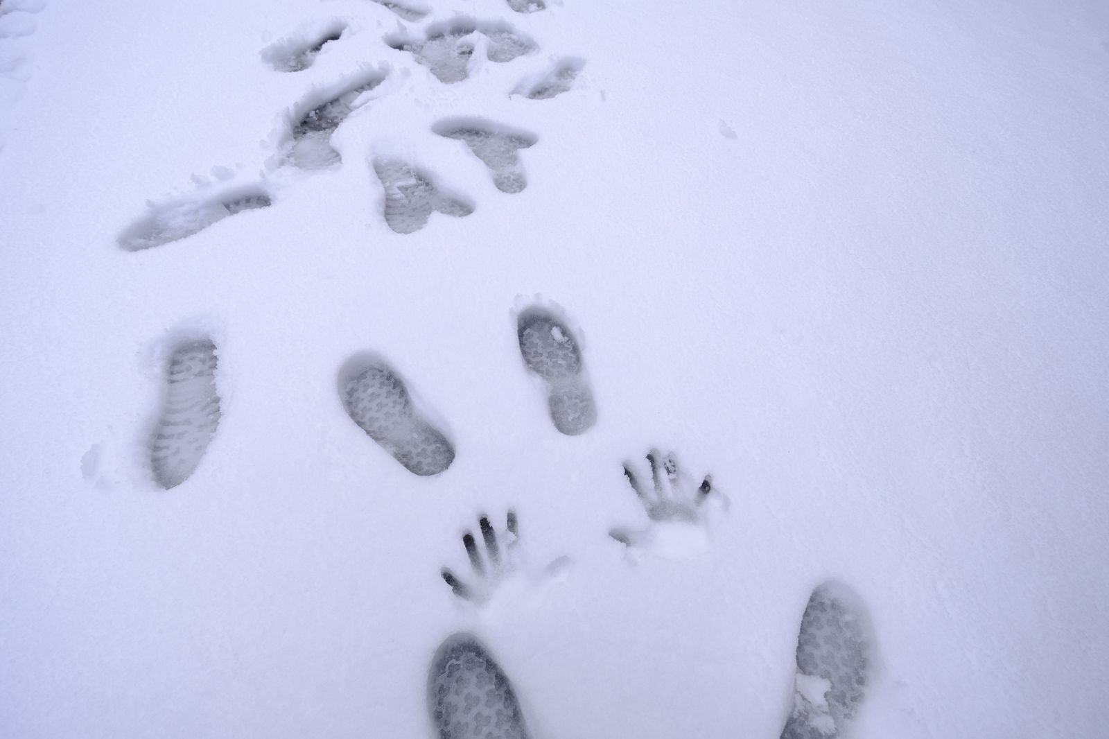 Fotogalería nevada en la Provincia de Almería