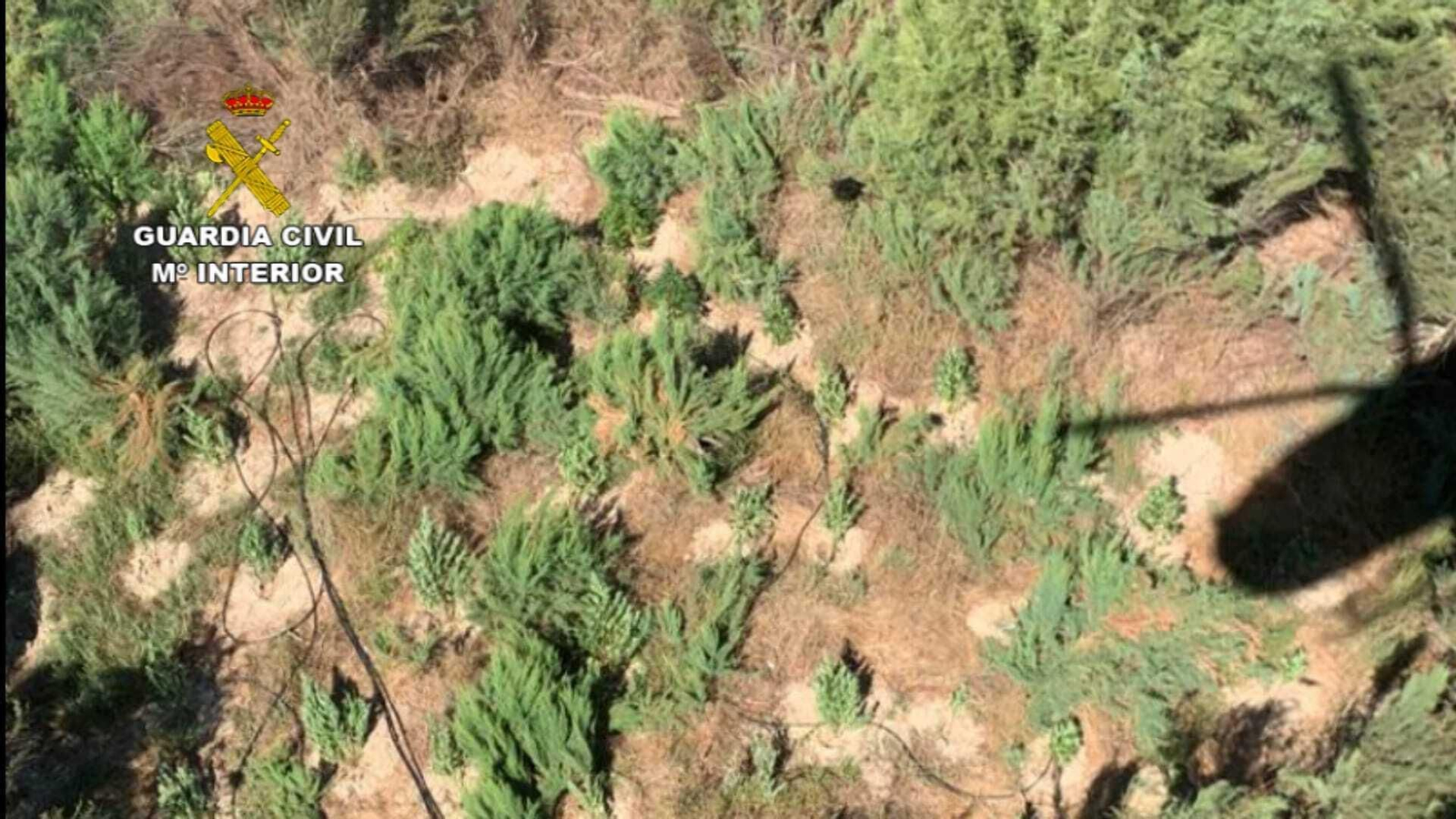 Imágenes de la actuación de la Guardia Civil en el Coto de Bornos