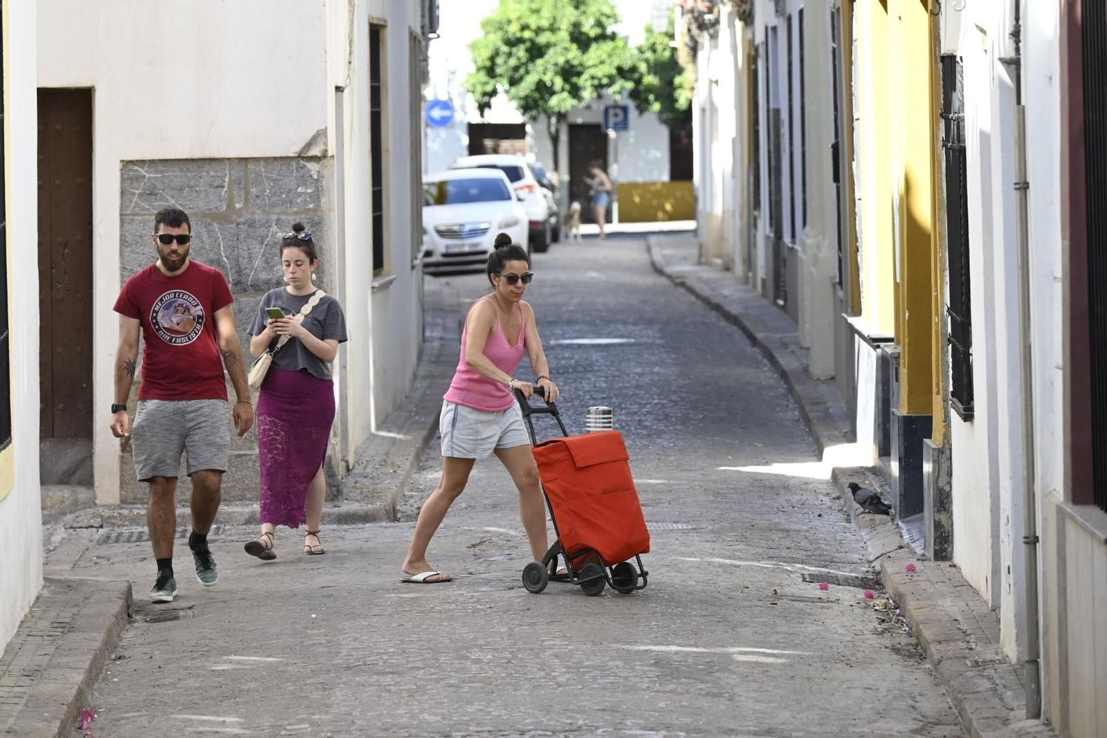 Un día de agosto en la Ribera de Córdoba, en imágenes