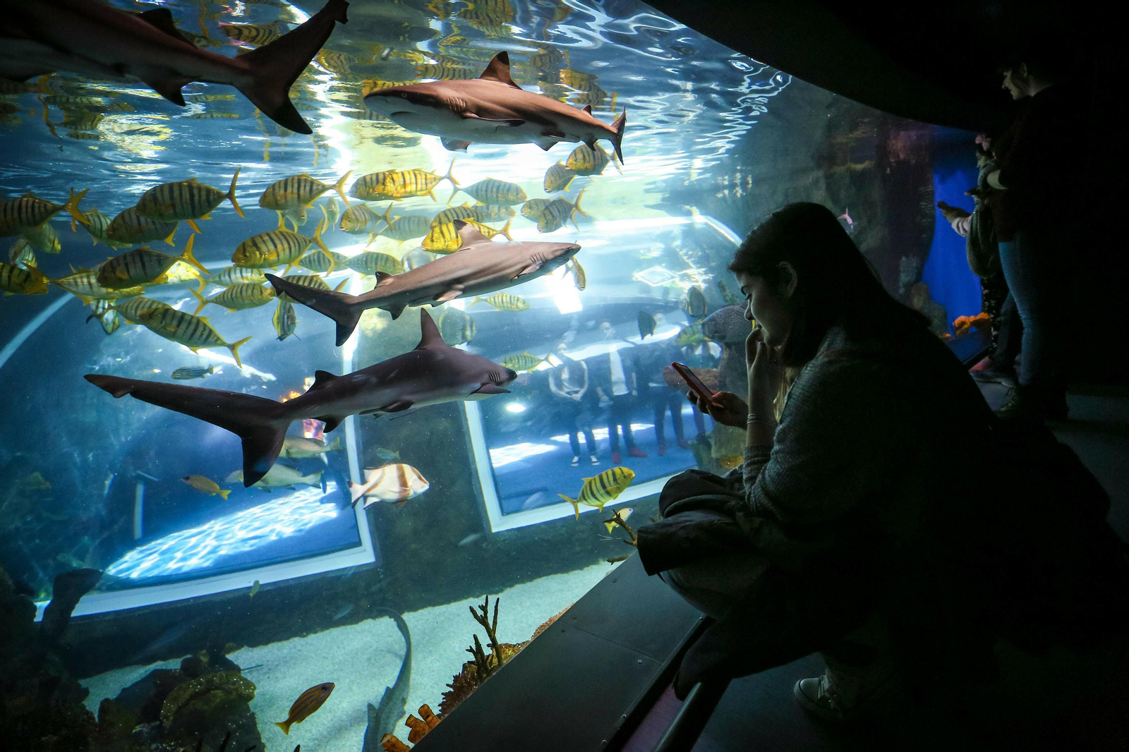 Biodomo Parque de las Ciencias.