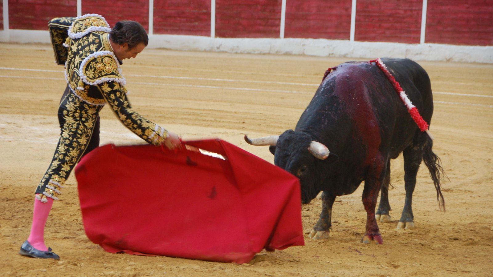 Finito torea en redondo