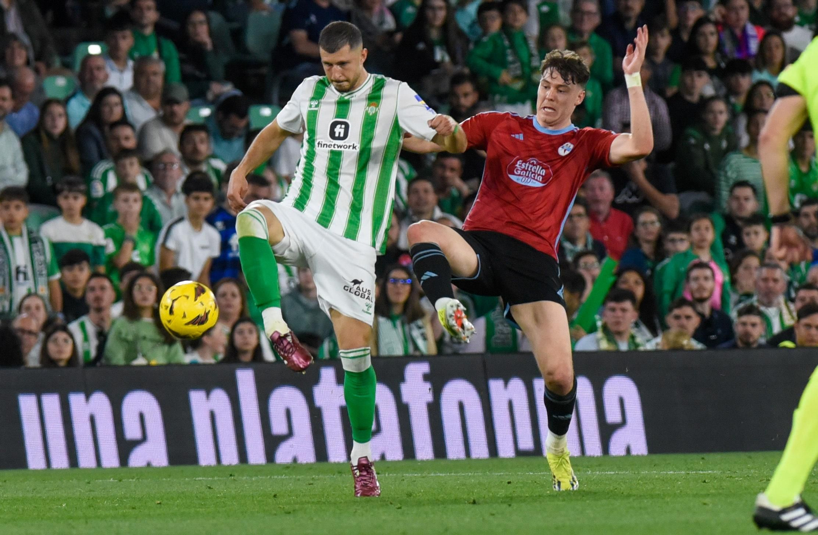 Las imágenes del Real Betis-Celta
