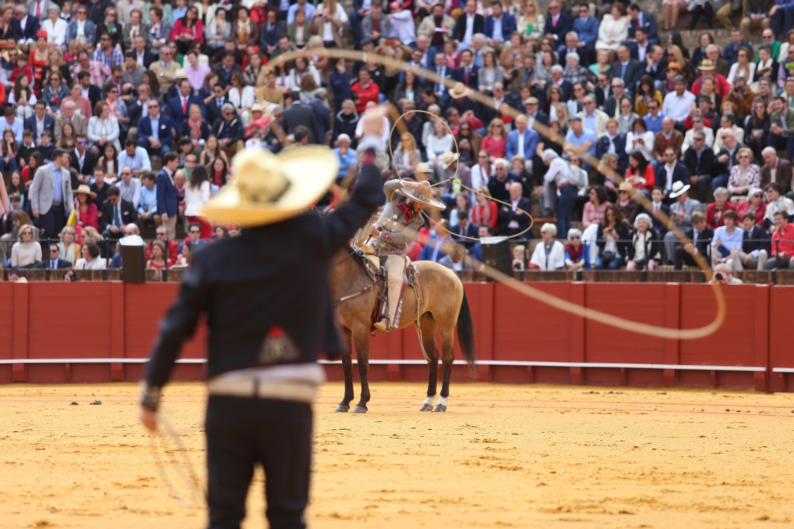 XXXIII Exhibición del Real Club de Enganches de Andalucía en la Maestranza