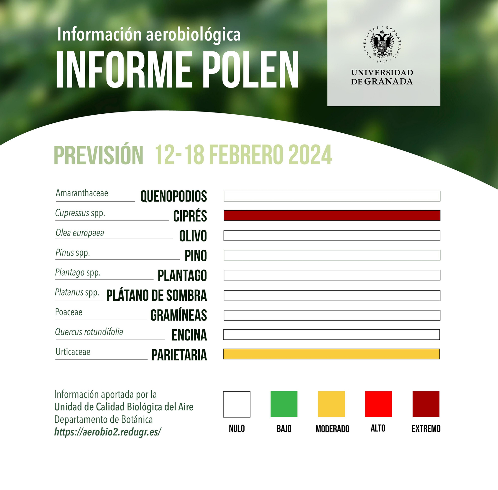 Informe del polen de la UGR.